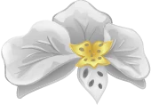 Disney Fairies Fashion Boutique Moth Orchid Headband