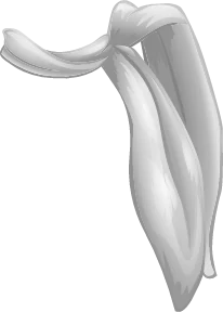 Disney Fairies Fashion Boutique Moth Orchid Leaf Sash
