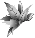 Disney Fairies Fashion Boutique Poinsettia Headband